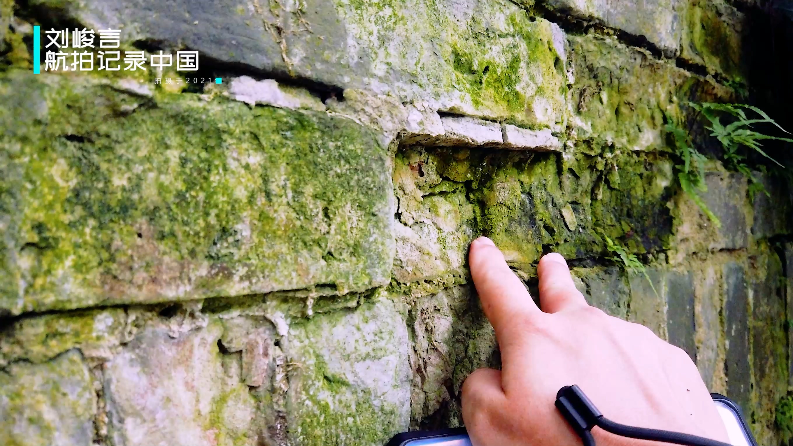 嘉定在上海属于什么样的存在,嘉定在上海是什么档次