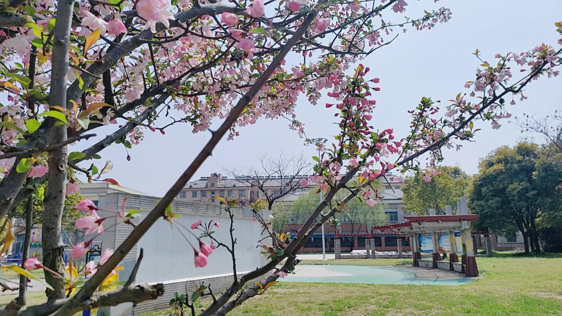 美丽的句子心情随笔,心情随笔关于自己的感悟