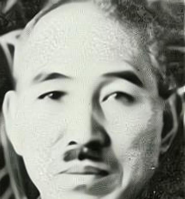 *刀刺**送最后的日本鬼子上路，抗战胜利三年后，*向前徐**对阵侵华日军