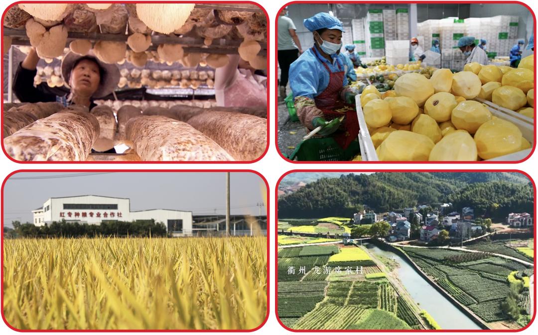 浙商银行2023表彰会,浙商银行排名2018