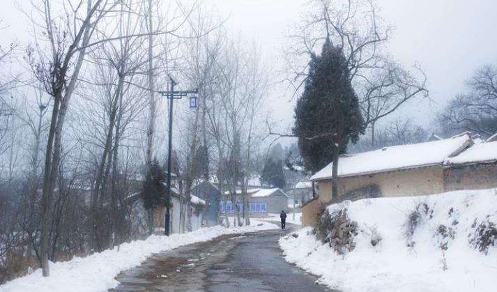 数九俗称交九,数九到九九有什么说法