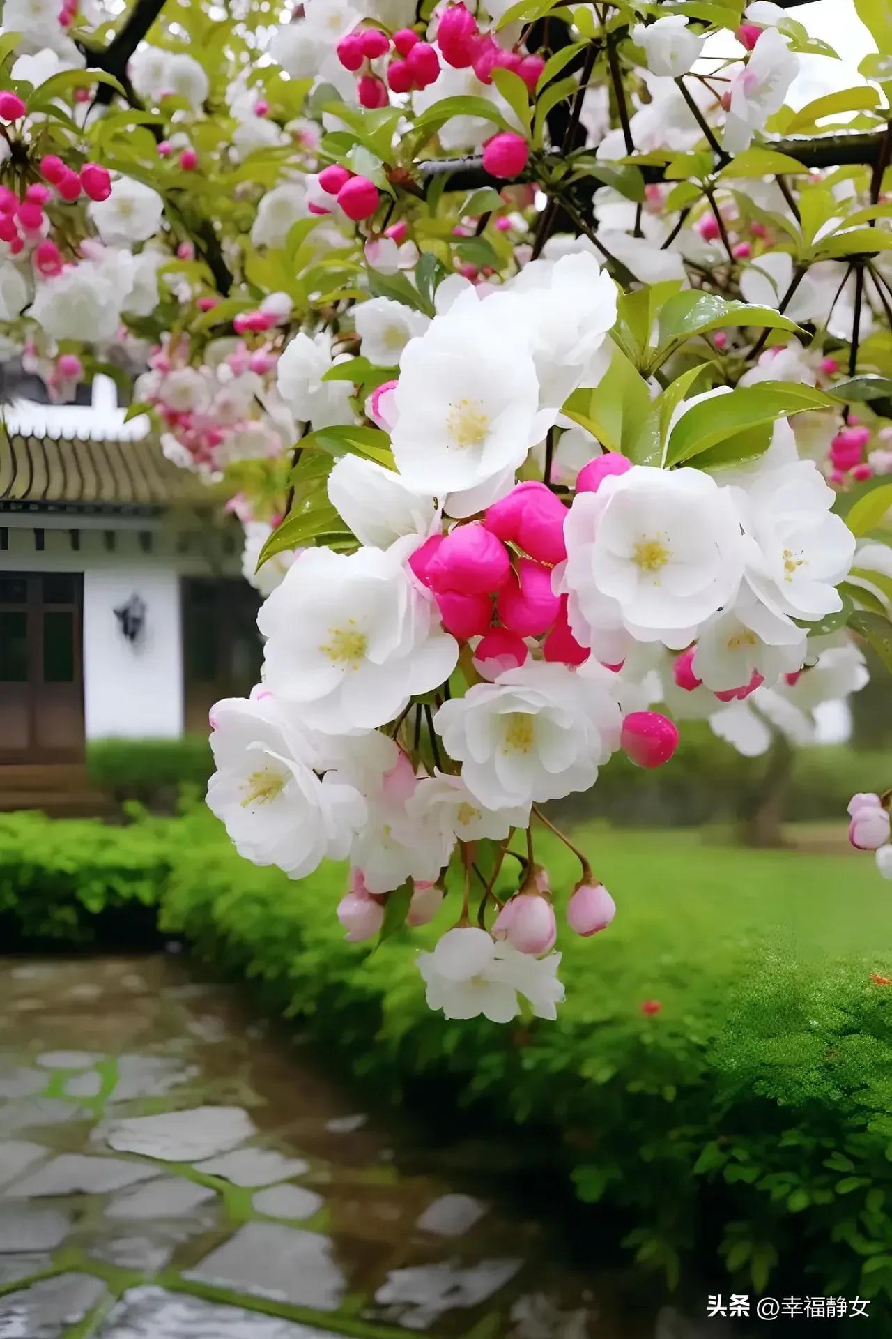 一位好老师改变一个穷学生的命运,一位好老师胜过万卷书诗句