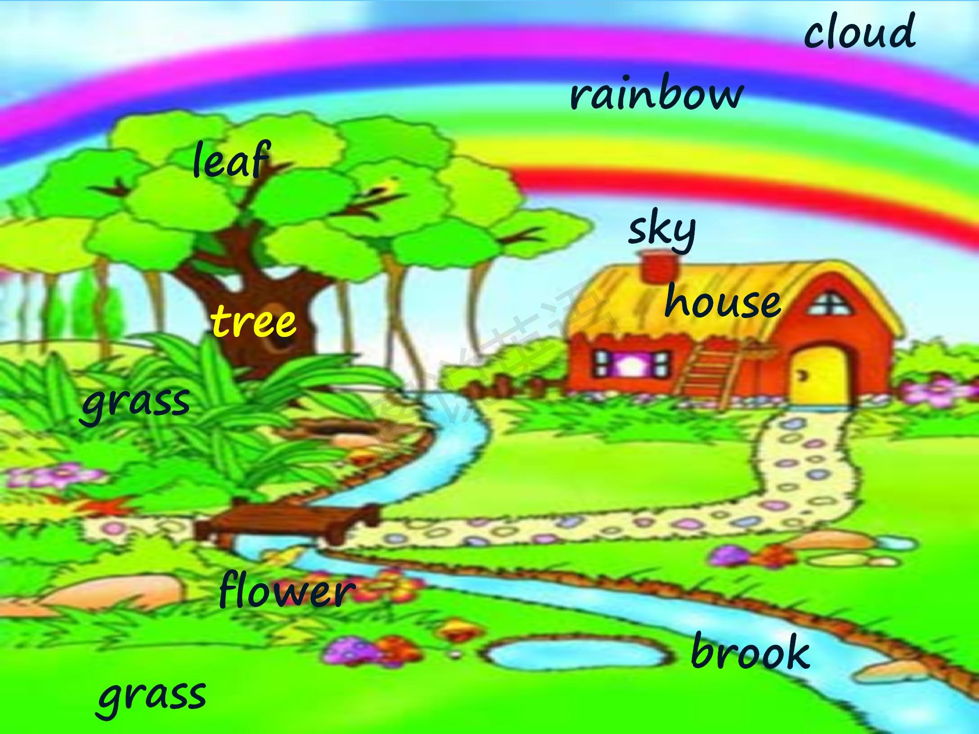 新概念第一册知识点总结课件,新概念英语第一册31到32课课件