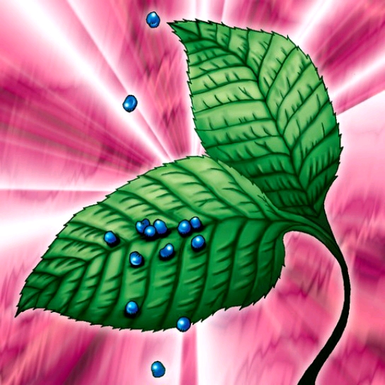 游戏王2所有卡组,游戏王哥布林卡组讲解