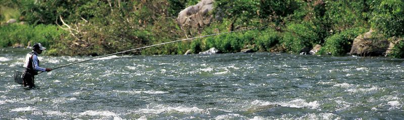 绉戝閽撻奔8.1绫崇鎺ㄨ崘,8.1绫宠交閲忕患鍚堢绉戝閽撻奔娴嬭瘎