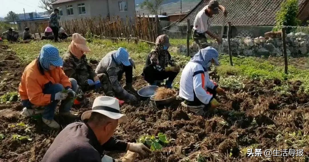 美好生活十年,美好生活最新版