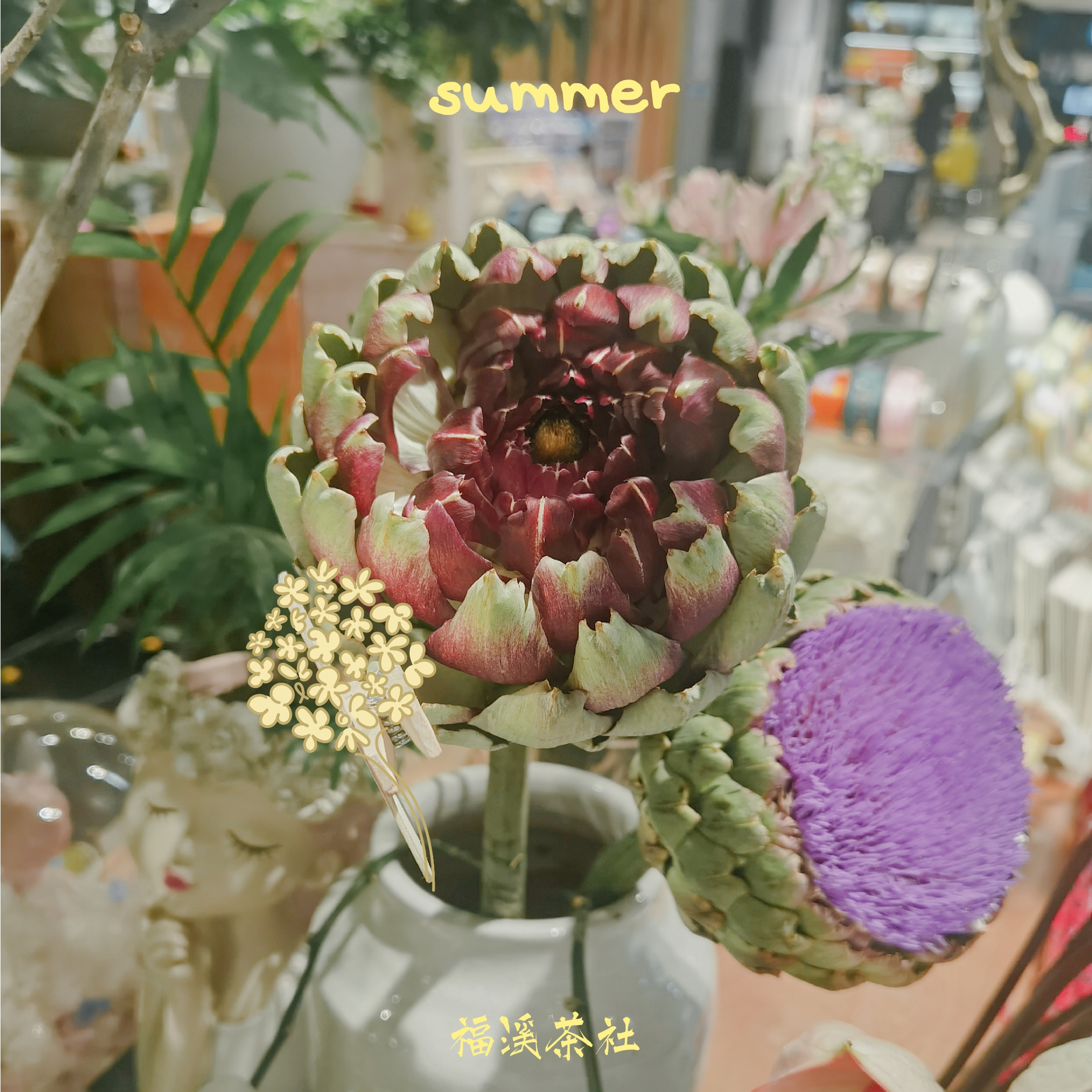 季夏夜之风欢唤大暑节气的热、爱与自由