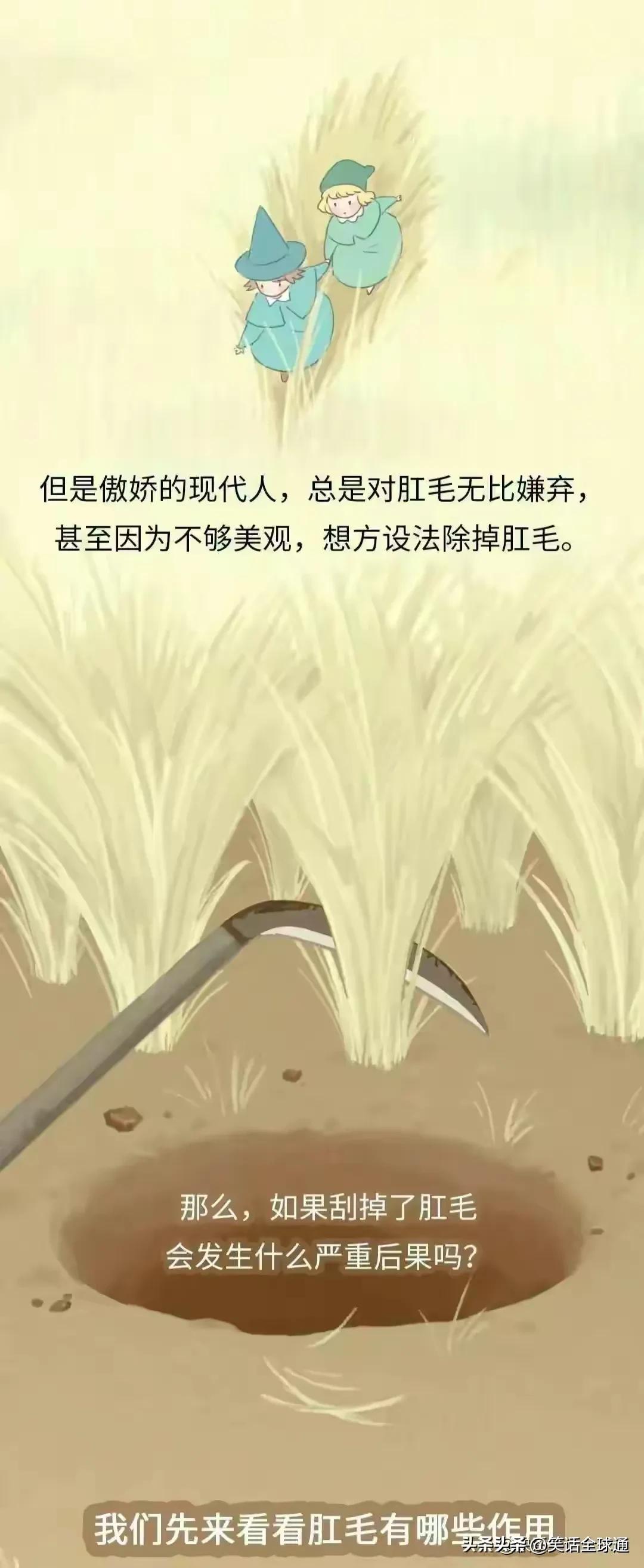 菊花毛、*处私**的毛能随便剃吗？有危害吗？