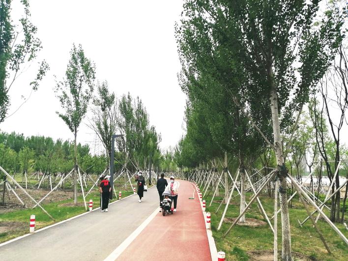 西湖公园网红打卡地,网红打卡地金湖公园