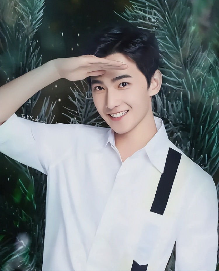 内娱“四大小生”，有人“家暴”绯闻缠身，有人“不务正业”