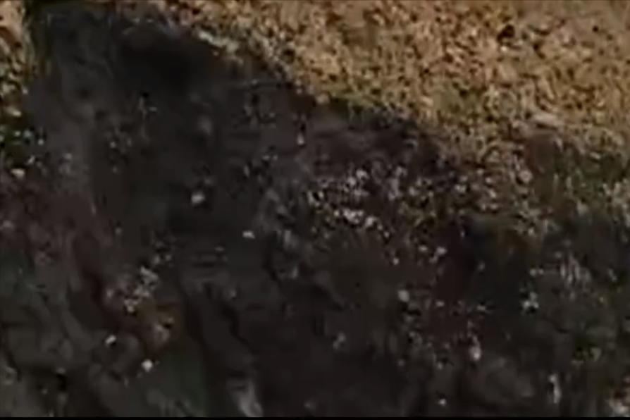 贵州山火相同的案例,贵州水田里的火焰