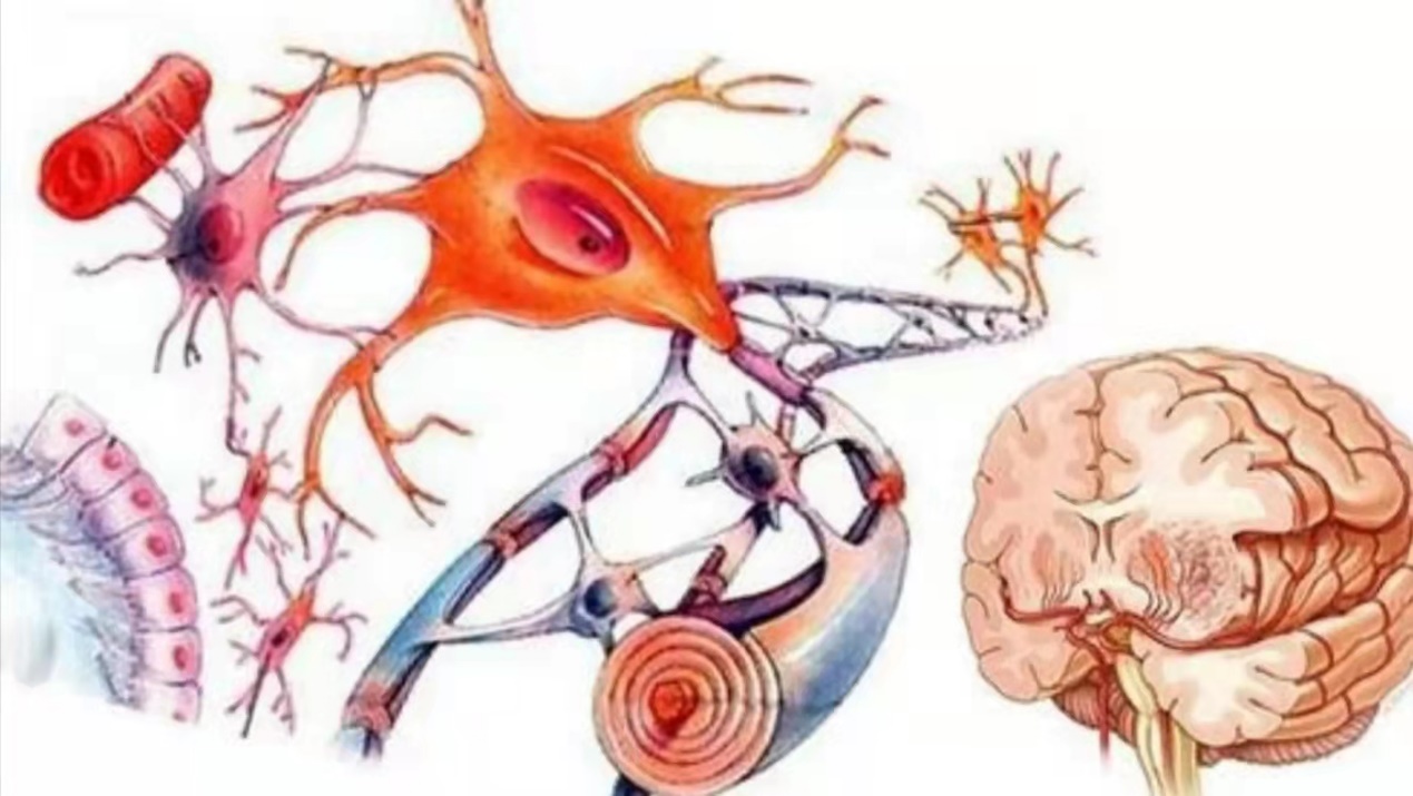 儿童患上脑肿瘤怎么办？这3种常见的治疗方法，可供家长选择