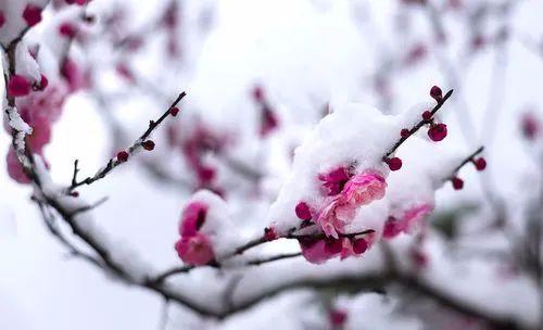 【校园期刊·金陵文苑·总第9期·初中版】——3