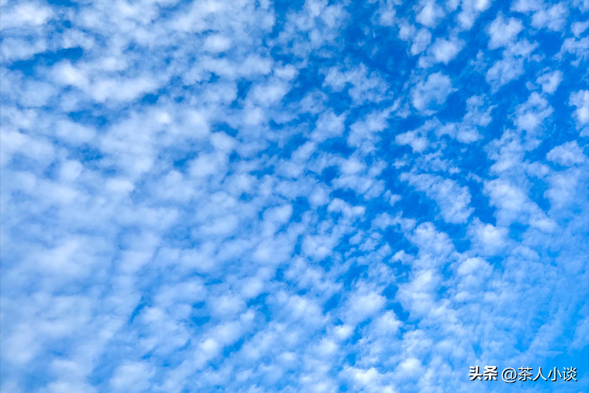 天上鲤鱼斑后面是什么,天上鲤鱼斑