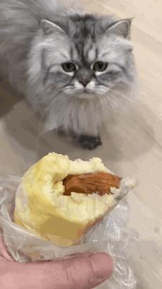 榴莲有点开口了有点长毛,榴莲靠近核的地方像长毛