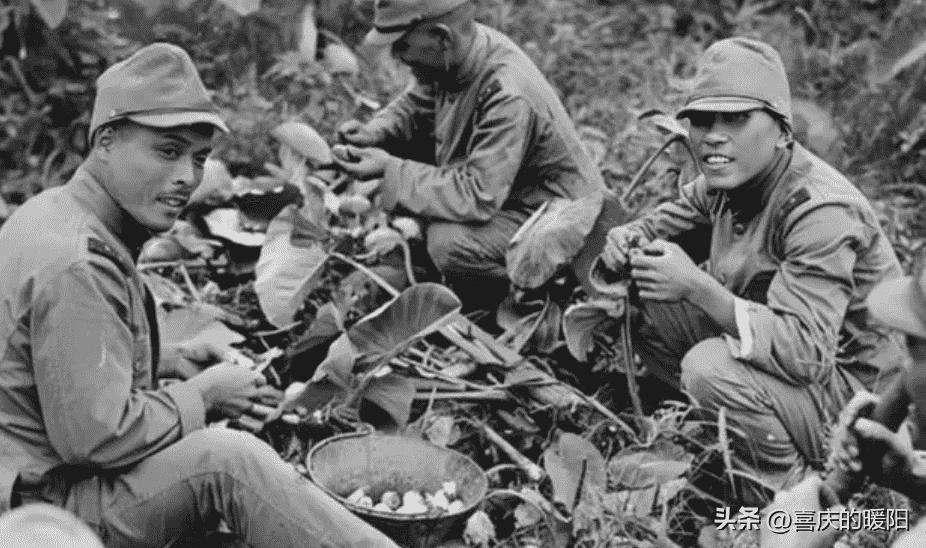 日本暴行老照片大全,日本暴行老照片