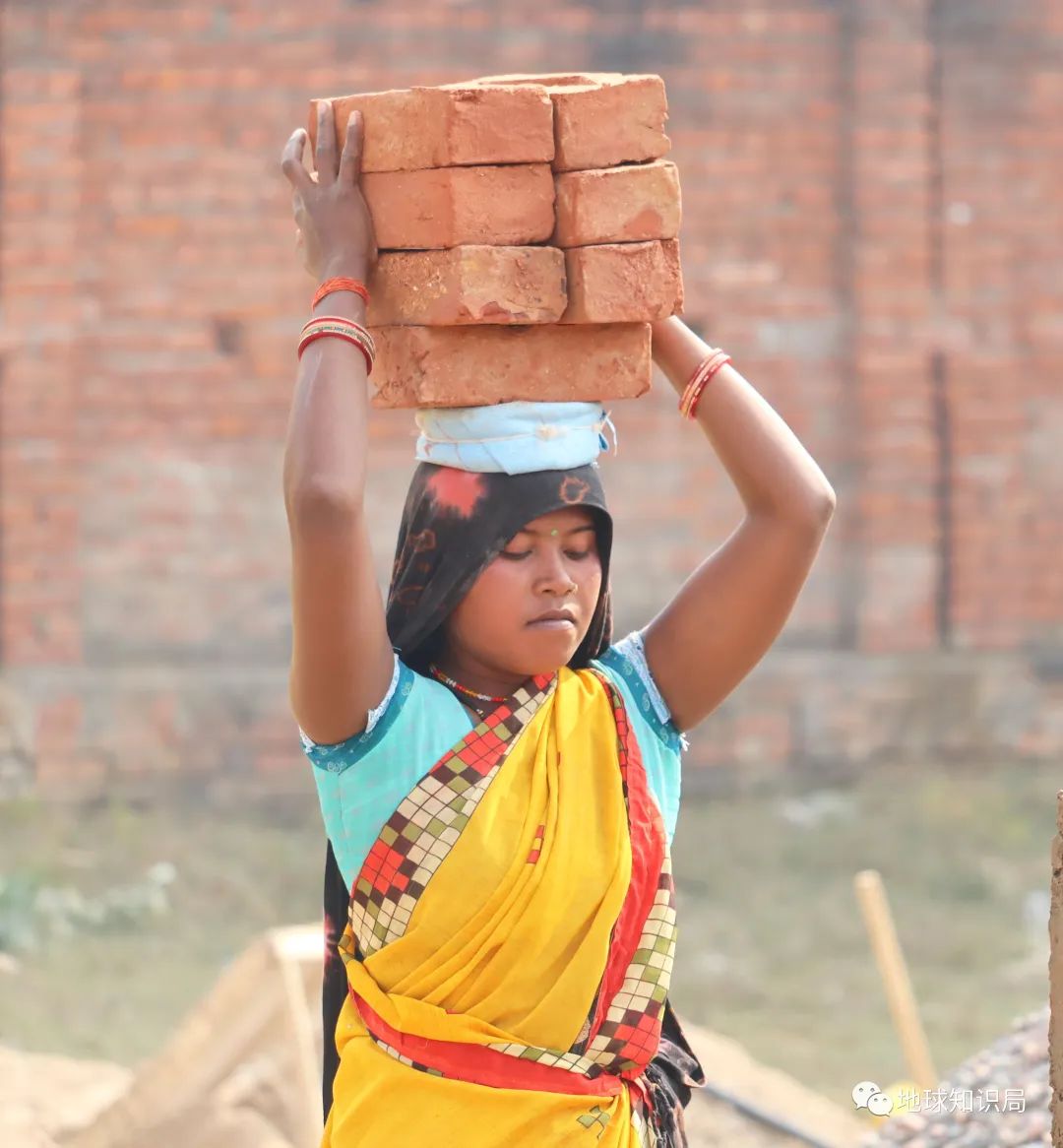 印度*伦乱**为何屡禁不止?|地球知识局