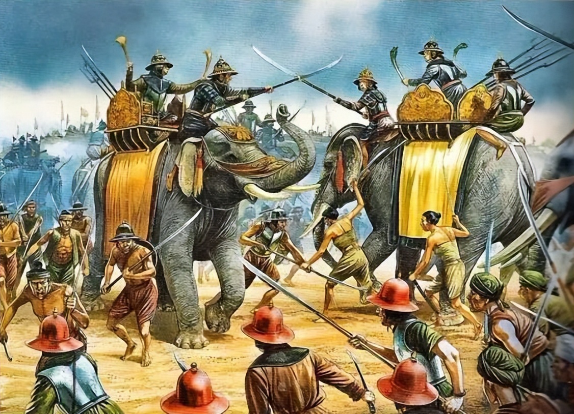 贝壳的历史种类和用途,贝壳的历史种类和用途介绍