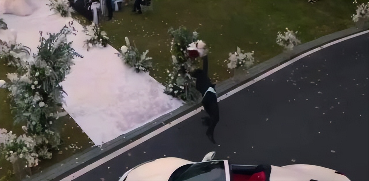 2023年娱乐圈大事件总结,盘点2019娱乐圈九大标志性事件