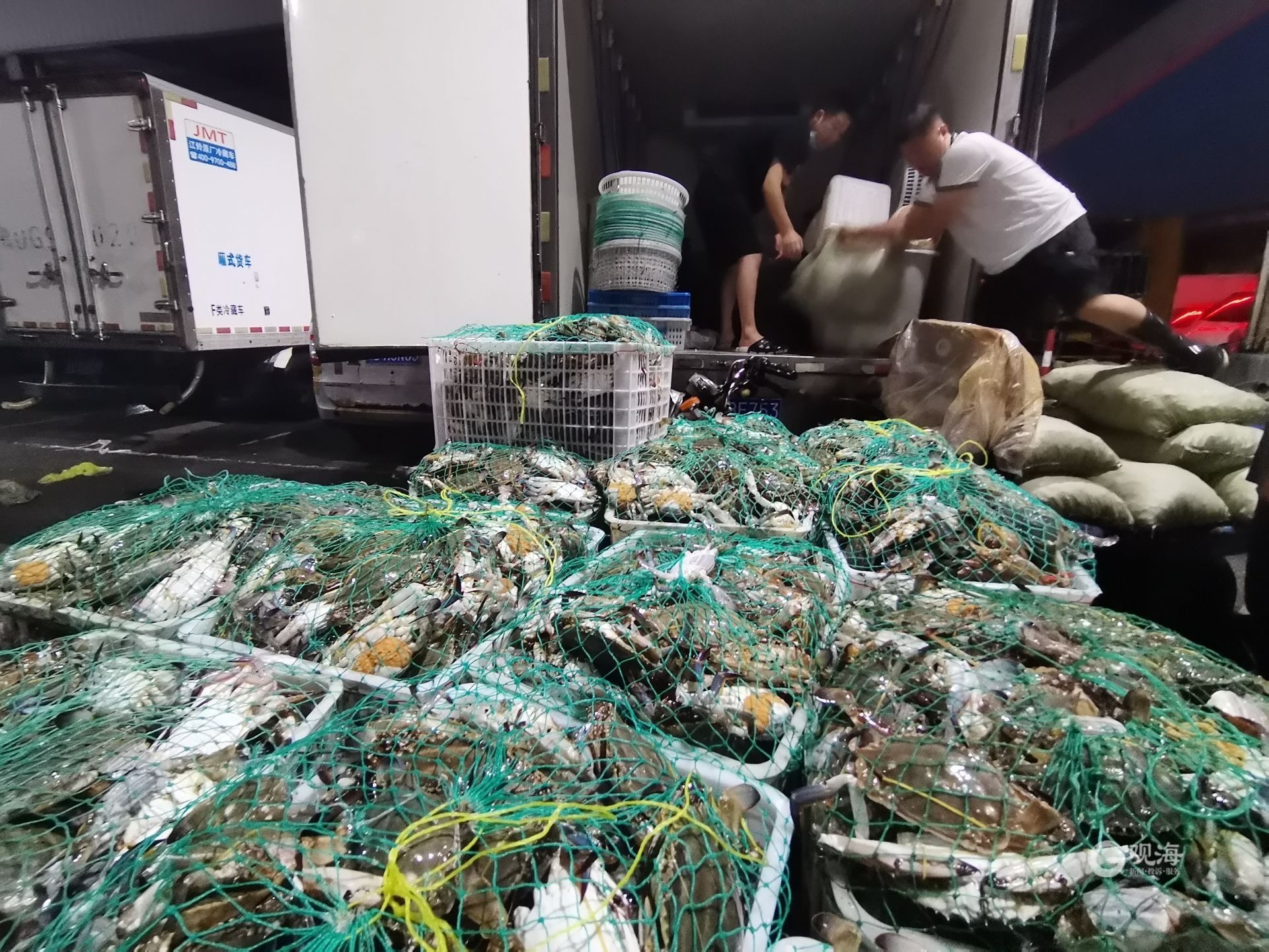 青岛30万斤南方梭子蟹6小时卖光,青岛大量梭子蟹是从哪里进来的