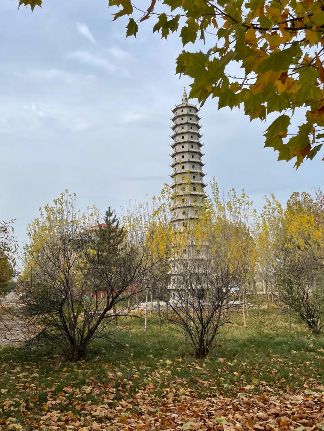 董董骑行山东,懂懂骑山东