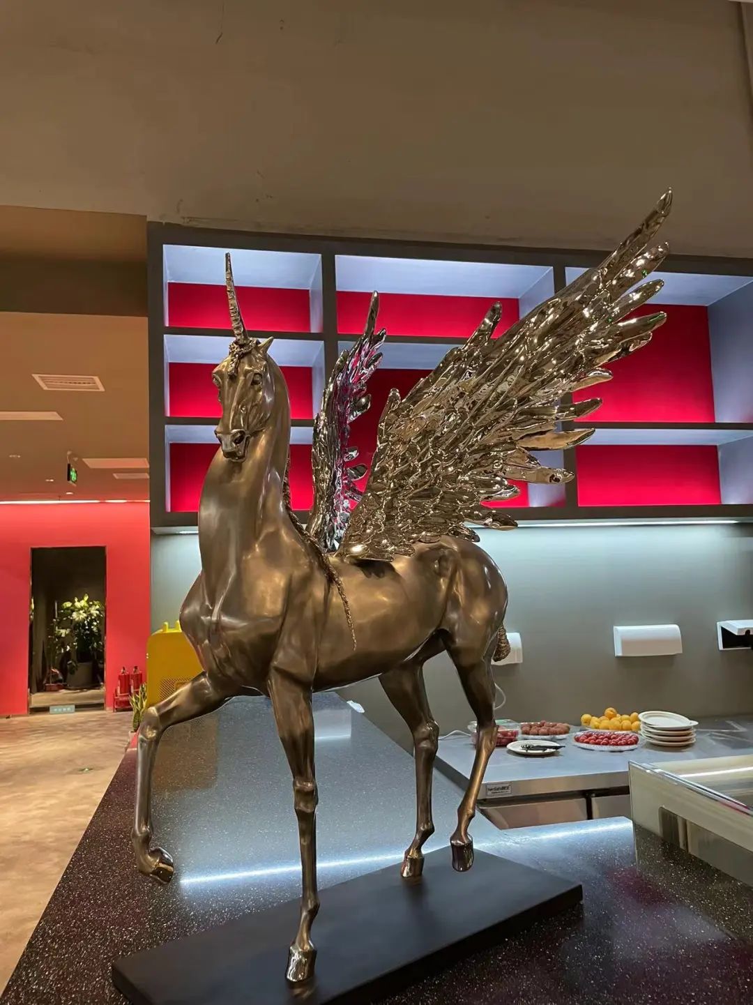 快乐小马马术俱乐部,北京朝阳公园马术俱乐部快乐小马