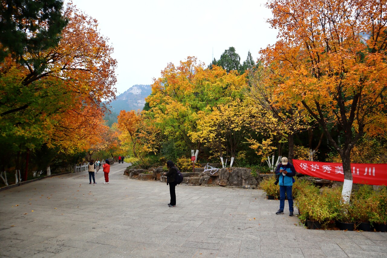 济南必打卡之地金秋时节,济南冬季打卡旅游胜地