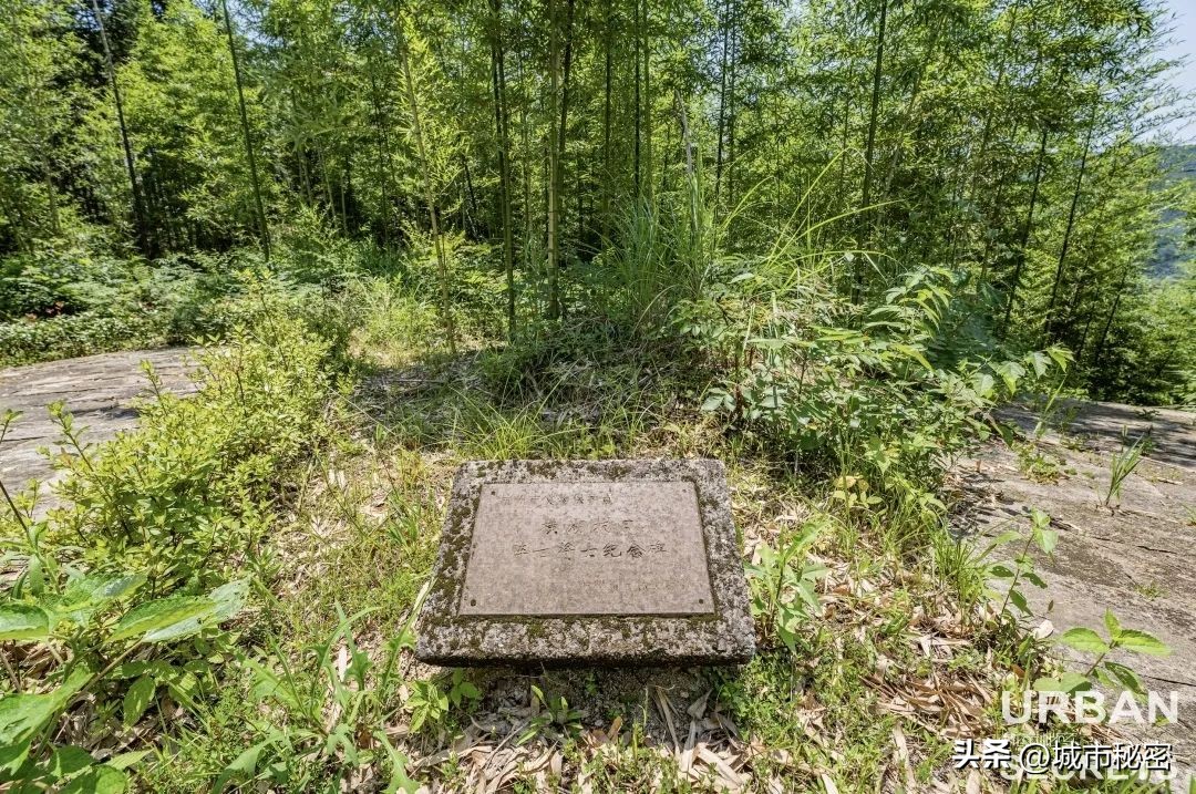 这个被赵露思带火的杭州小乡镇究竟有什么魅力？引来无数网友打卡