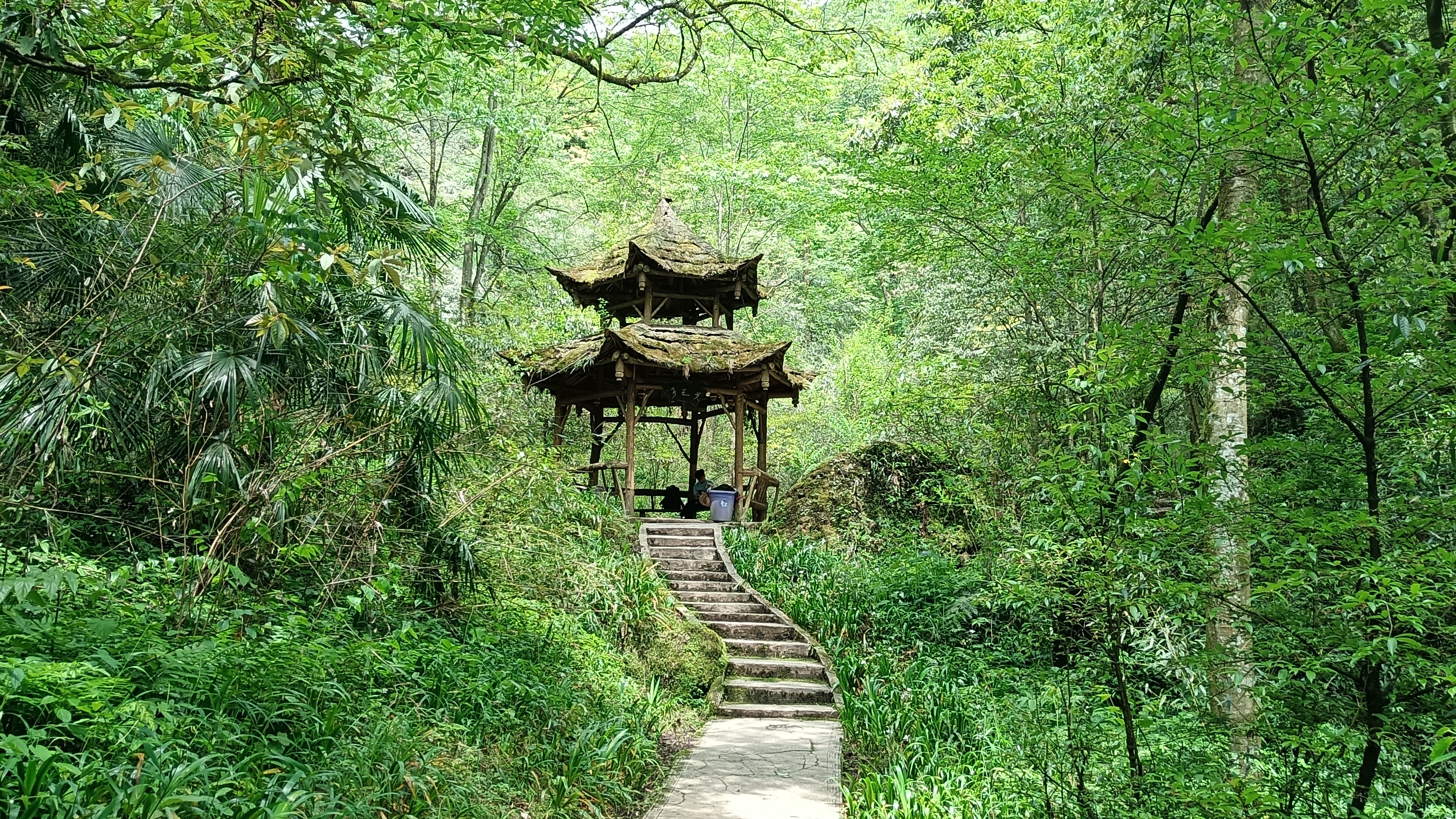 去成都青城山后山攻略,青城后山成都攻略