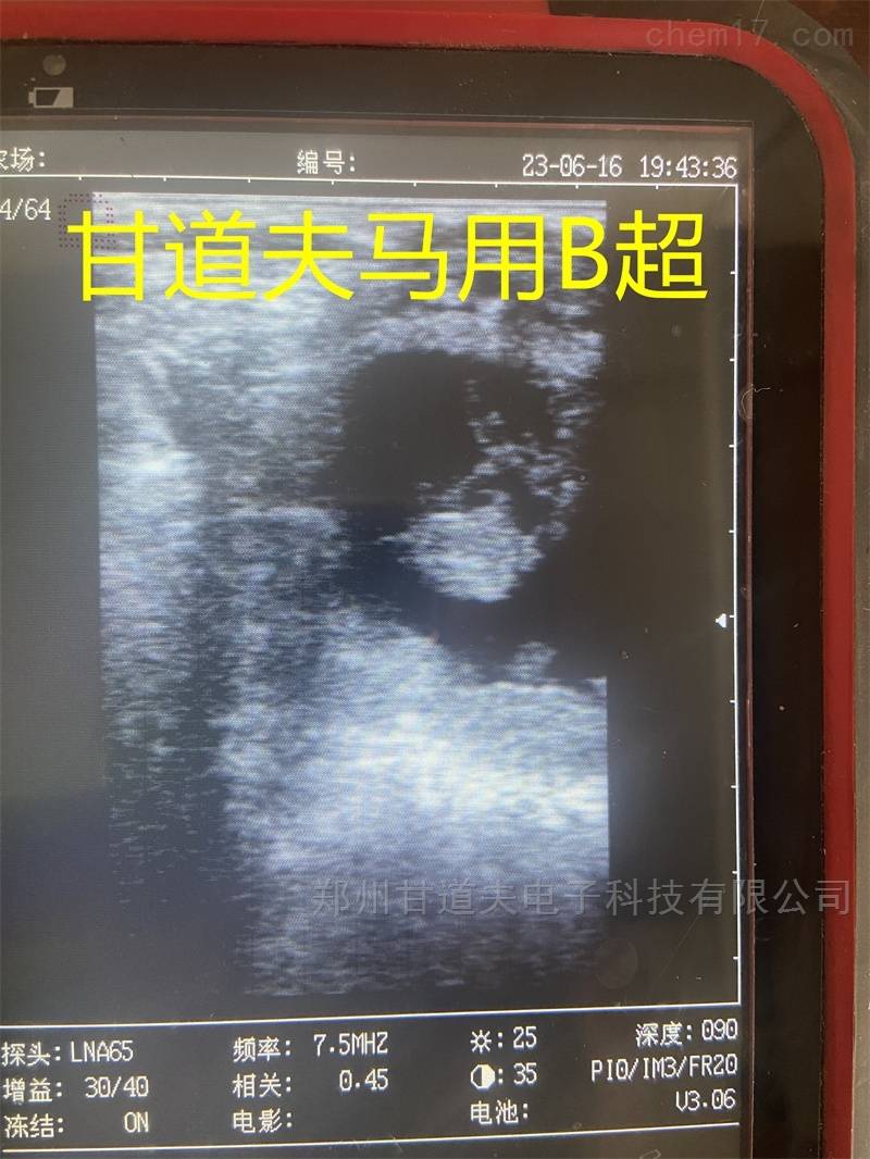 马用B超兽用B超检测母马发情怀孕方法步骤