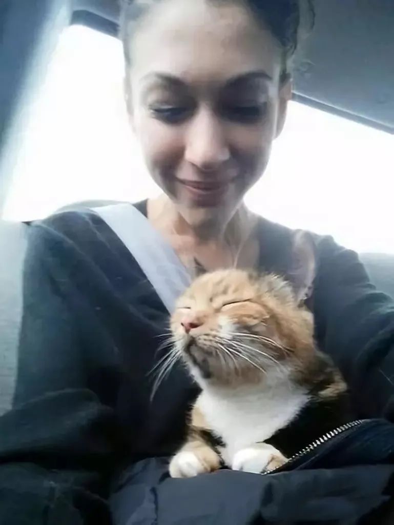 说出来你可能不信，我家猫用手机订购了一台空调