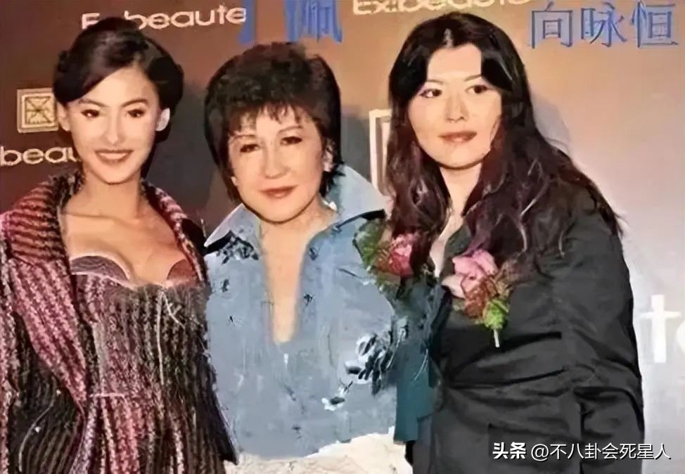 李小龙丁佩向华强陈岚的关系,向华强老婆是丁佩还是陈岚