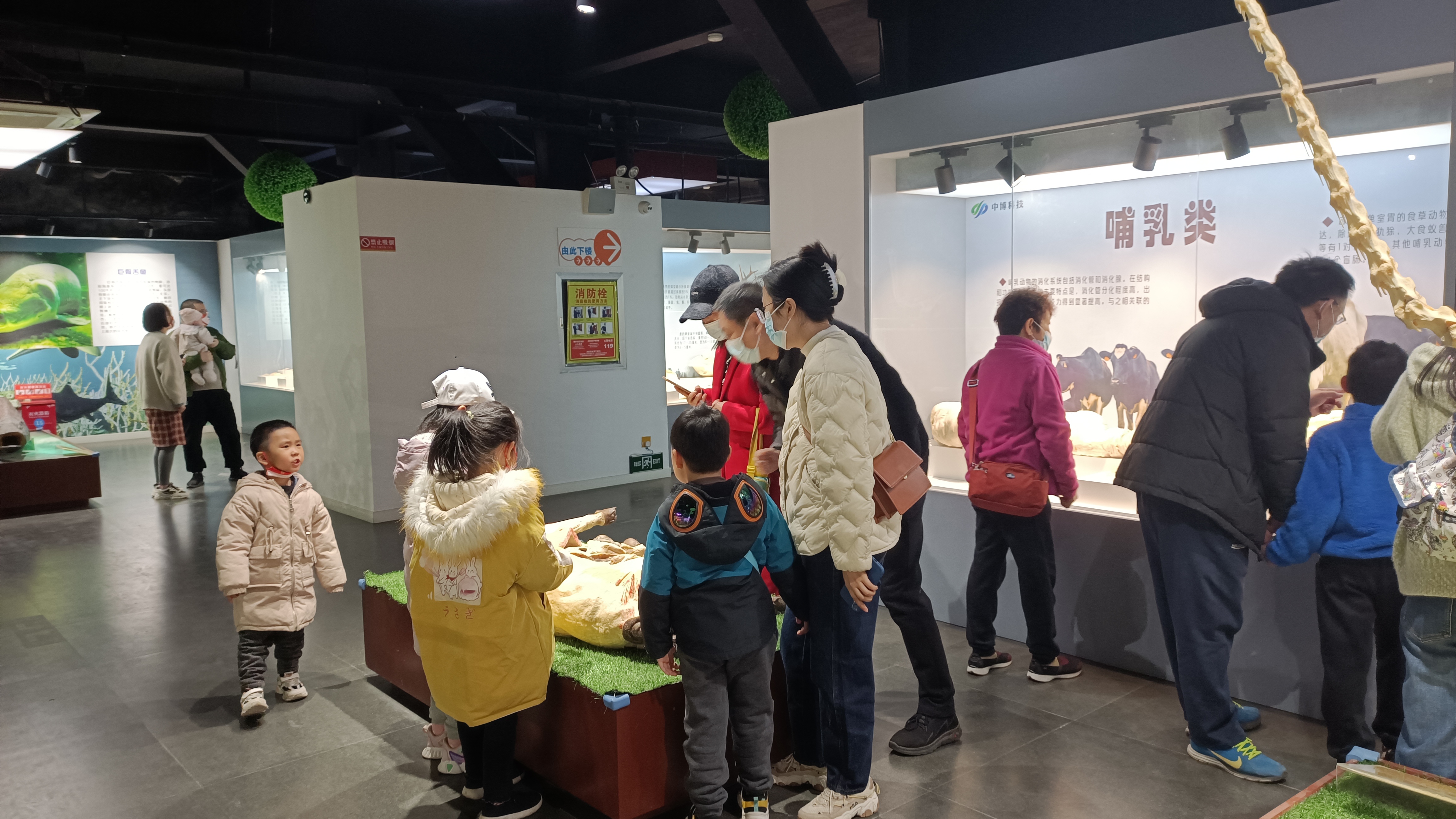 郑州周末遛娃踏青好去处,郑州春季带孩子游玩好去处推荐