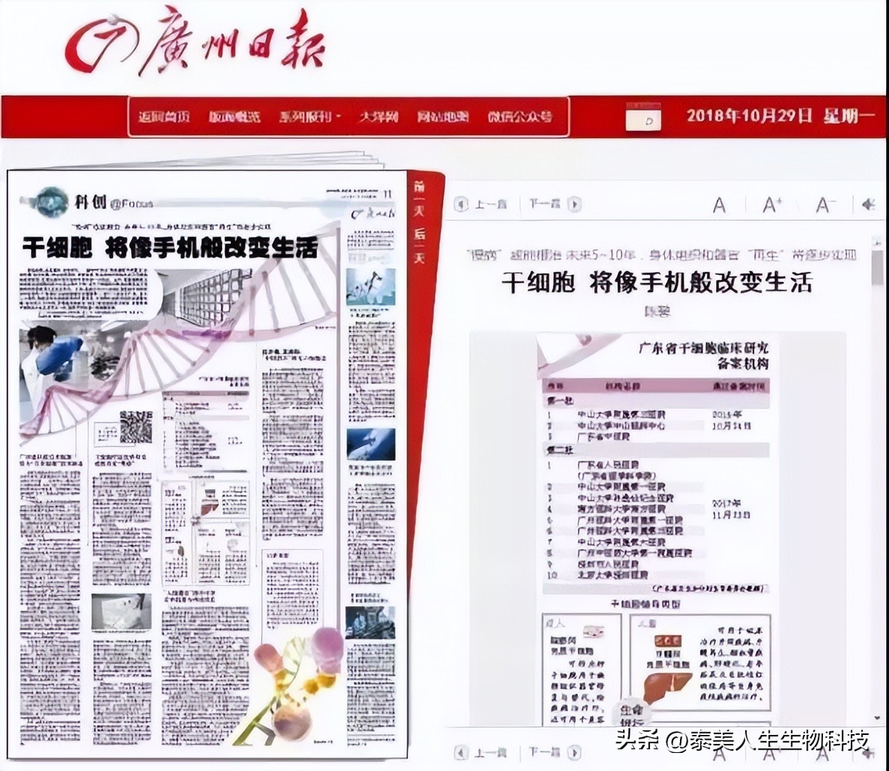 干细胞的最新进展,干细胞多久会停止发展