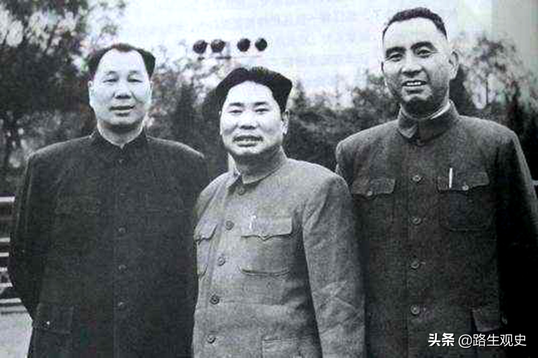 我军三杨,解放军中的三杨