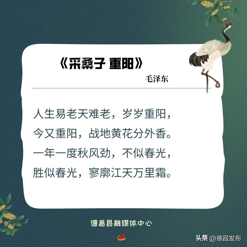 网络中国节·重阳|古诗词里的重阳节习俗​