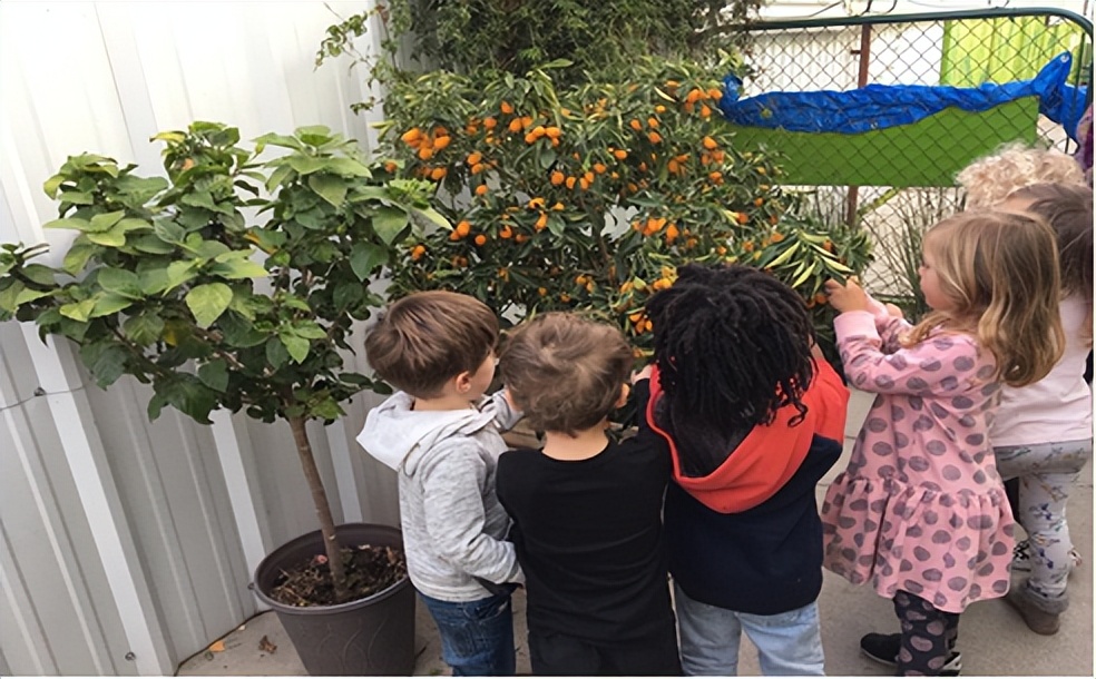 美国幼儿园游学,美国洛杉矶亲子自由行攻略