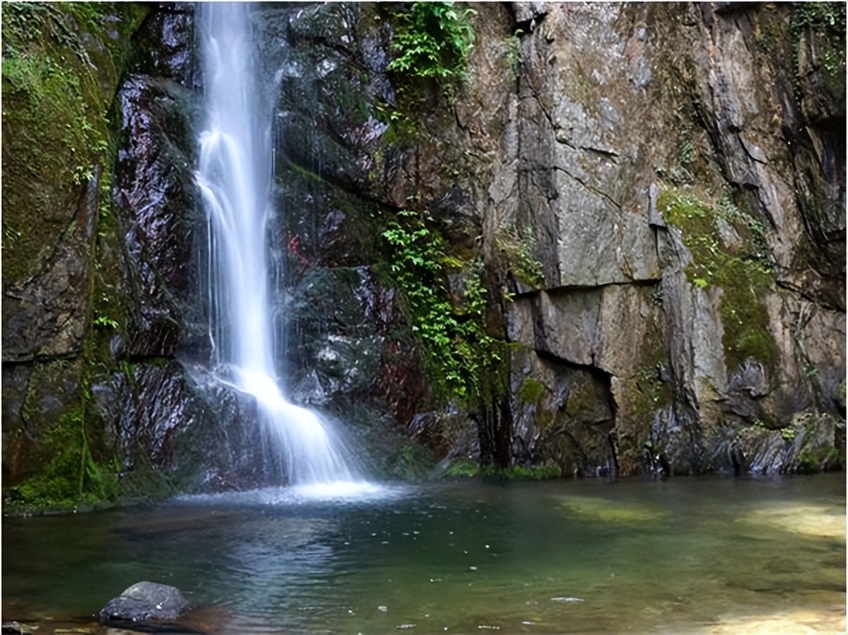 氧居田园山水一个值得你去体验的康县