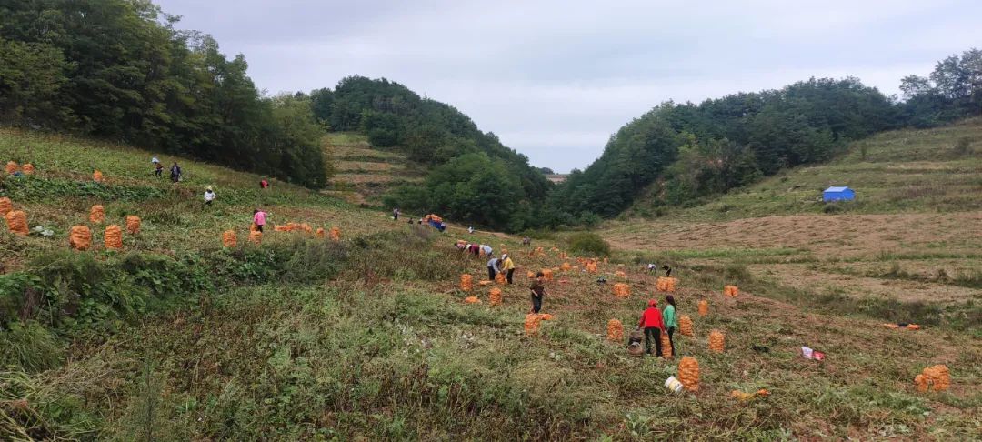何坝镇铁鼓村,西和县何坝镇铁鼓村