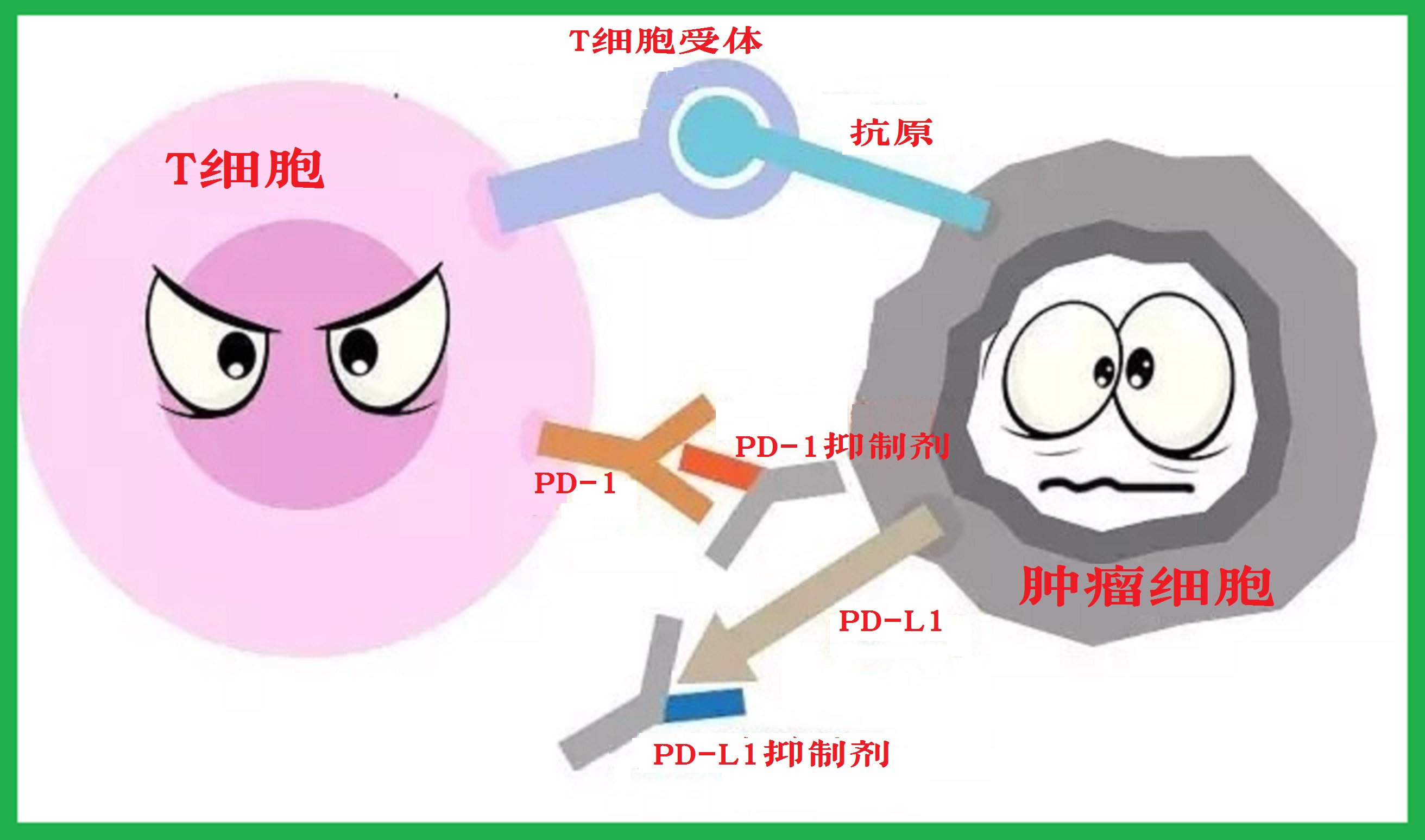 肿瘤免疫治疗的故事连载二十七,肿瘤科室治疗故事