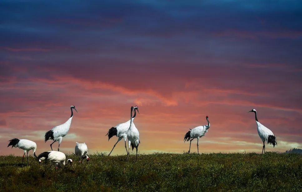 创新生态可持续,创新创业生态环保和可持续发展