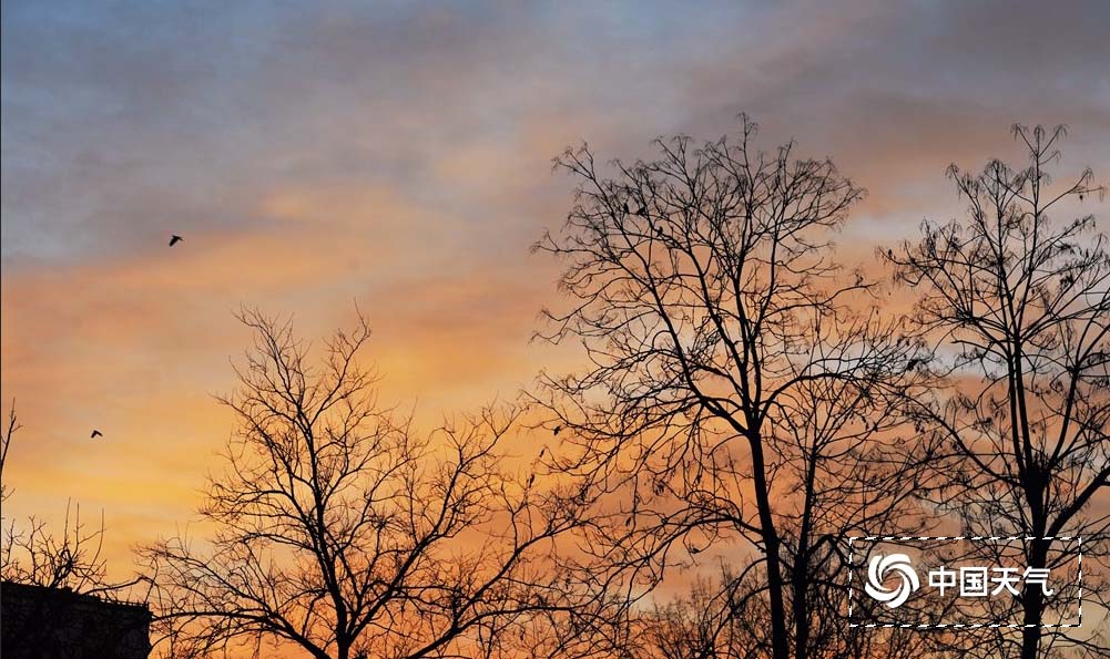 ps怎么去除图片多余的数字,ps怎么去除文字后面的背景色