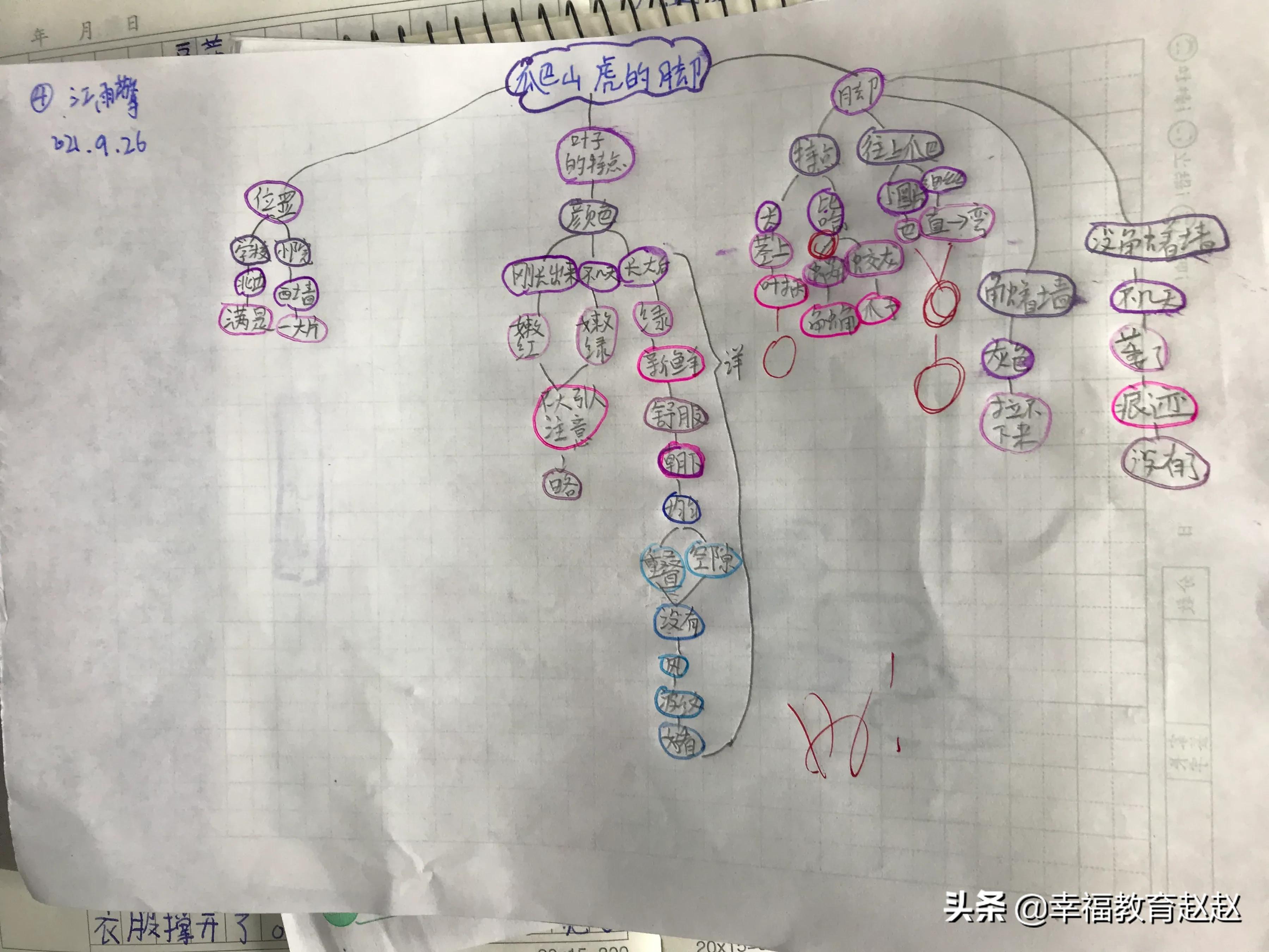 爬山虎的脚思维导图怎么画图片,爬山虎的脚思维导图绘画过程