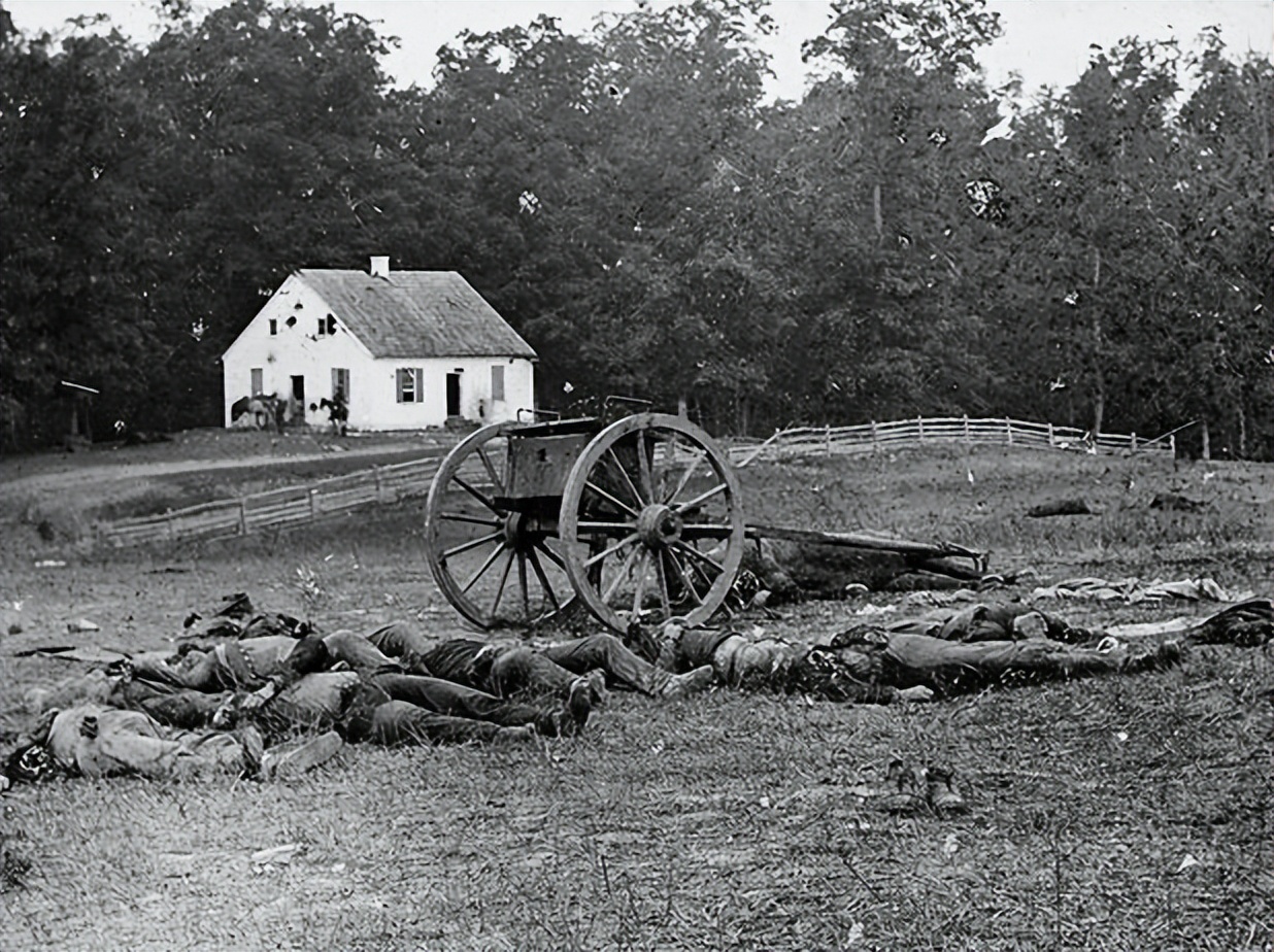 战争对牲畜的伤害,战争对世界的伤害