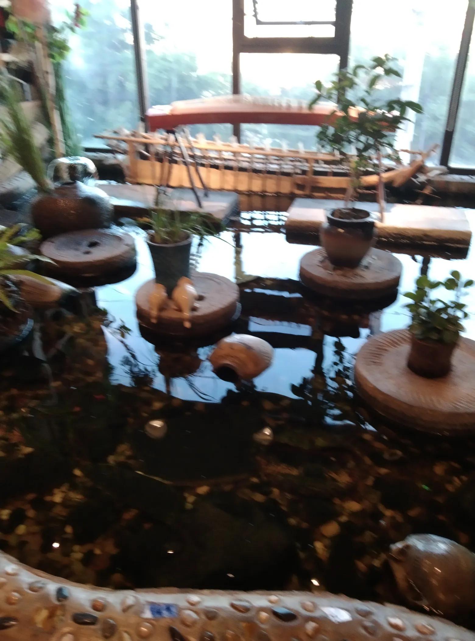 薇薇相约四季,相约四季原创