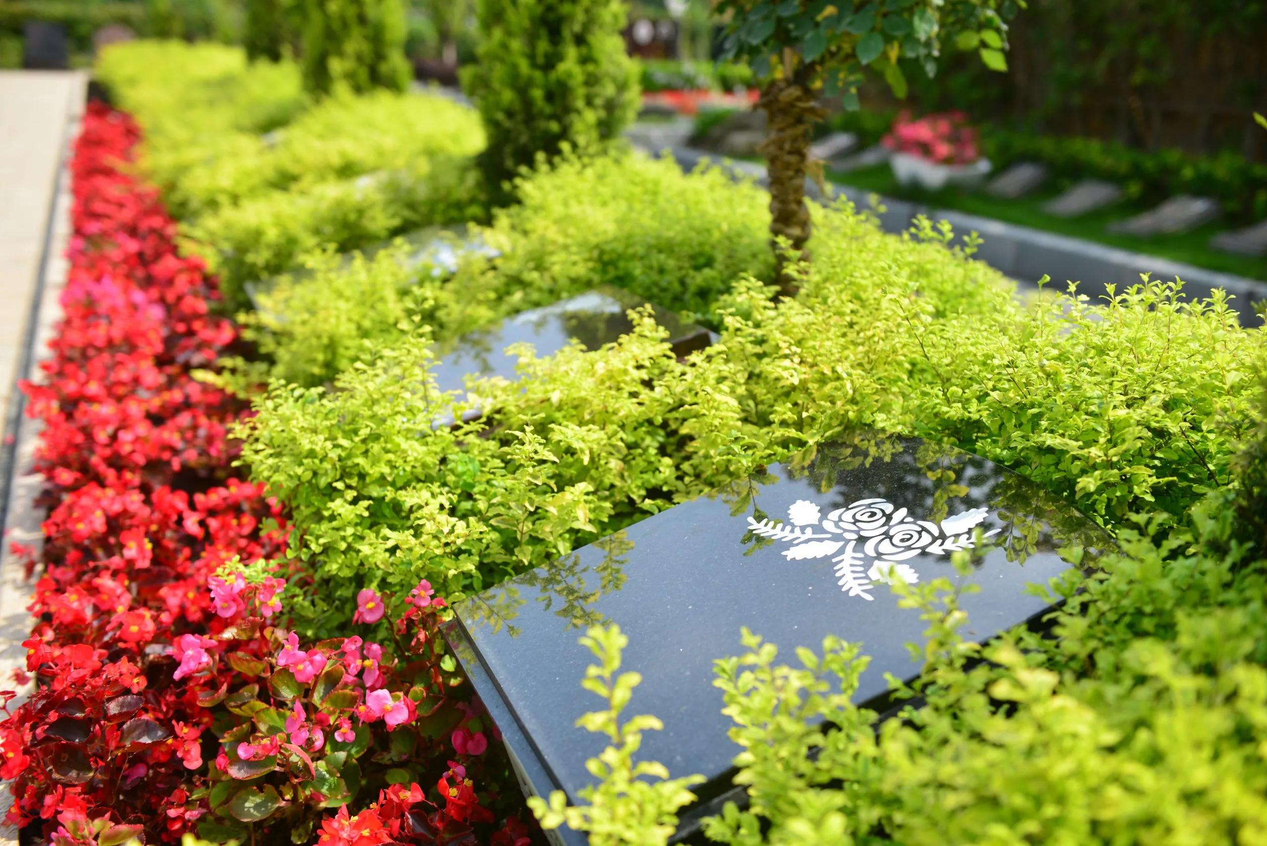 青浦的福寿园与滴水湖的福寿园,青浦福寿园与临港福寿园区别