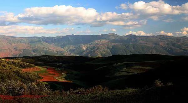 巴西占南美洲比例,巴西为啥会占南美那么大地方