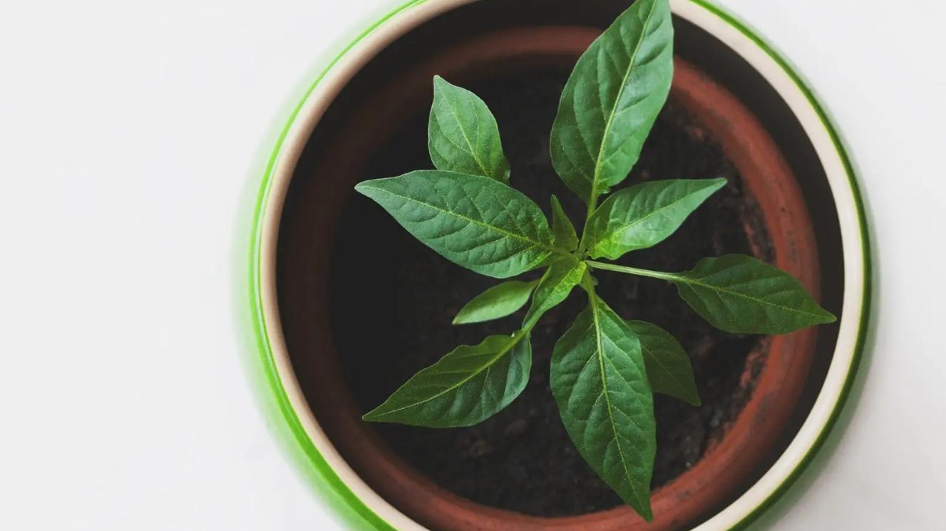 天蝎座三个阶段蜕变,天蝎座10月该注意什么