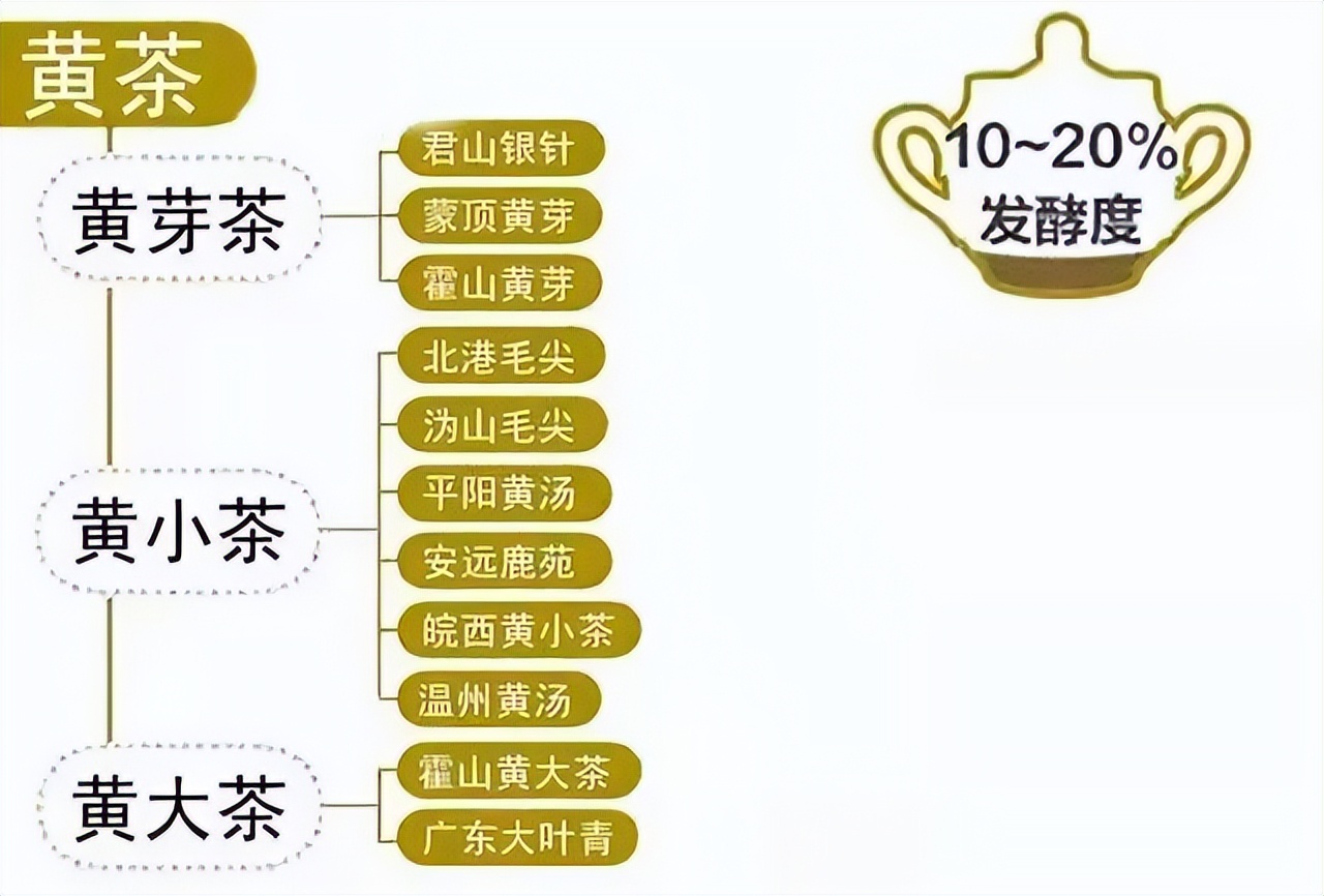 茶叶种类大全大红袍,茶叶的种类口感介绍