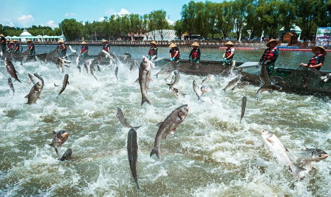 松原查干湖旅游三日,松原查干湖五一旅游团